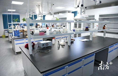 陽春市自來水廠擴容工程即將竣工運營，提升城市供水保障能力